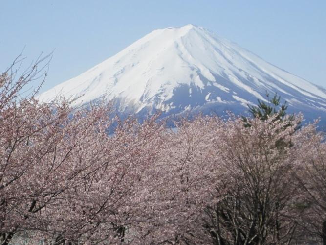 Shuhokaku Kogetsu Hotel Fujikawaguchiko Bagian luar foto